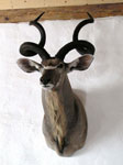 Kudu